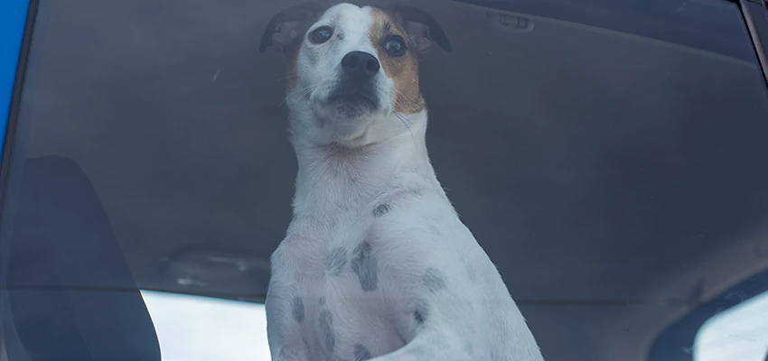 Car Lockout Solutions in Ridgecrest, California